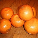 2013_03_17_hitoyasumi_tankan
